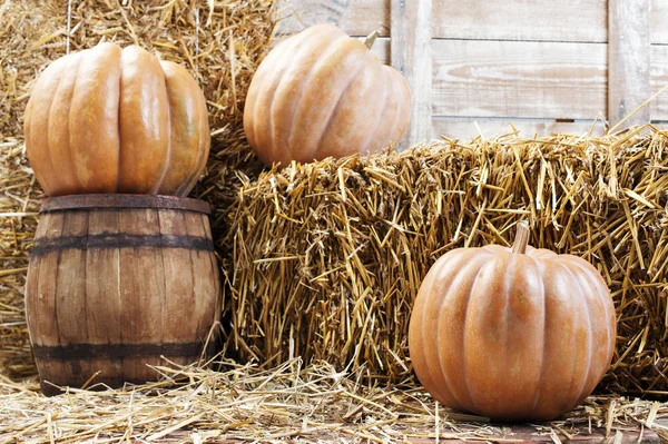 Calabazas y paja en antiguo granero — Foto de Stock