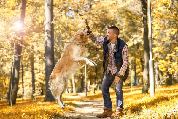 Молодой человек выгуливает собаку в парке — стоковое фото