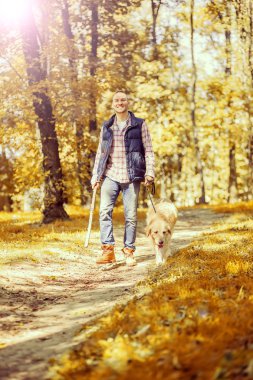 Genç adam bir köpek parkta yürüyüş 