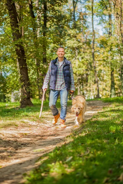 공원에서 개를 산책 하는 젊은 남자 — 스톡 사진