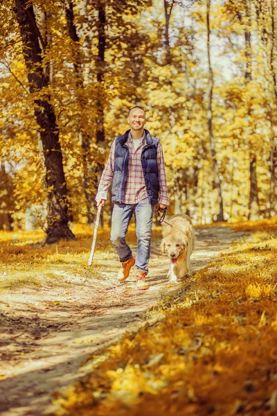 Genç adam bir köpek parkta yürüyüş — Stok fotoğraf