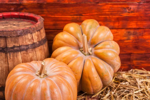 Fondo de acción de gracias calabaza otoño — Foto de Stock