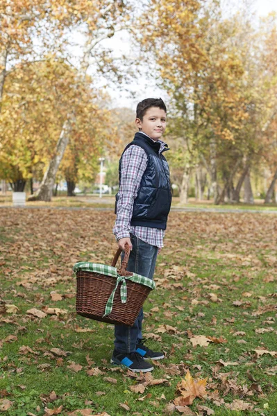 Ragazzo con un cesto che va a fare un picnic — Foto Stock