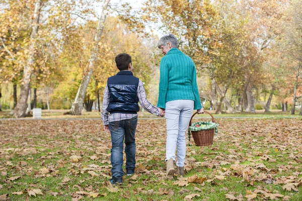 Grandson and grandmother going on a picnic — Stock Photo, Image