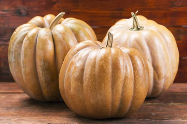 Herbstkürbisse im Stall — Stockfoto