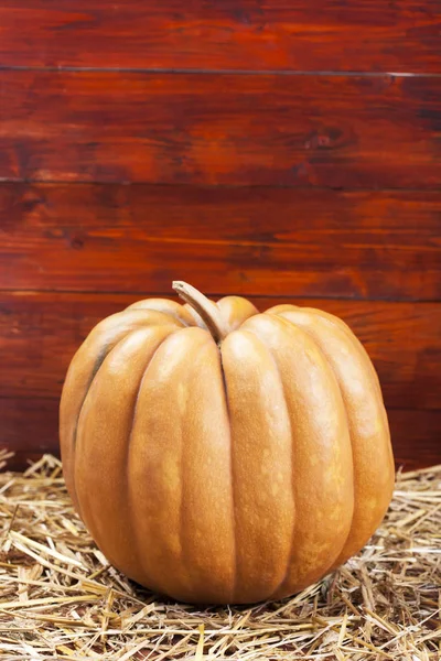 Dynia jesień w stodole — Zdjęcie stockowe