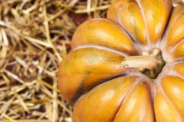 Hösten pumpa i lada — Stockfoto