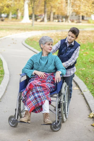 Nipote con nonna in sedia a rotelle al parco — Foto Stock