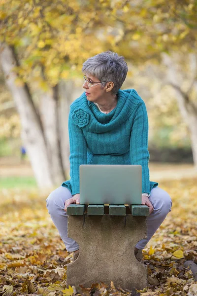 Idősebb nő, egy parkban, laptop számítógép segítségével — Stock Fotó