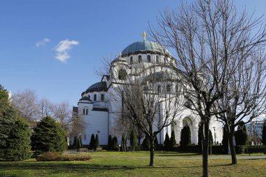 Ortodoks Kilisesi Saint Sveti Sava Belgrad