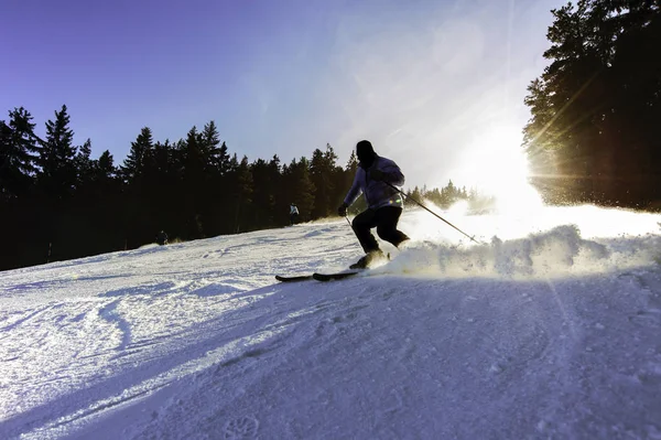 Lyžování, silueta lyžařů na sjezdovce s paprsky slunce na modré obloze — Stock fotografie