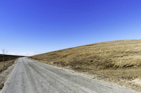 周辺の牧草地と山の道路 — ストック写真