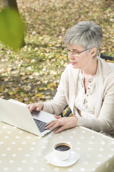 Oudere vrouw in een park die op laptop werkt — Stockfoto