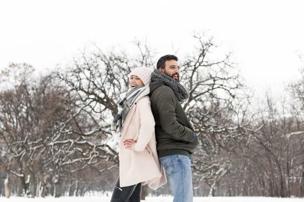 公園で雪を楽しんでいるカップルを愛する — ストック写真