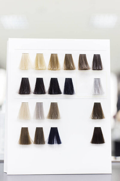 Палитра цветов волос
