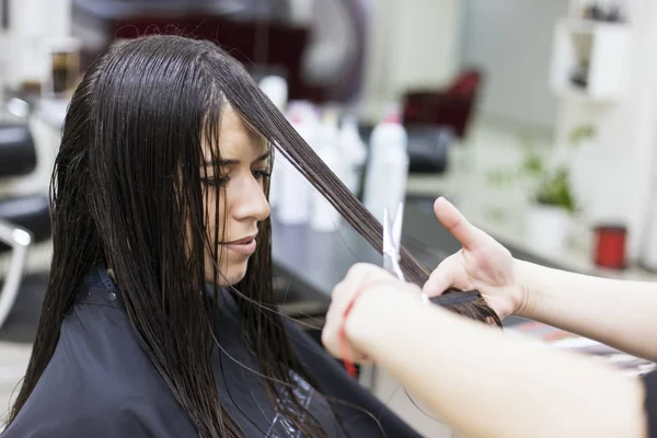 Mujer en una peluquería, Corte de pelo — Foto de Stock