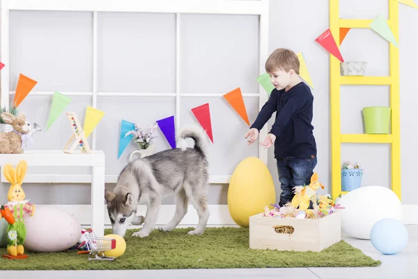 Baby jongen en hond spelen op Paasdag — Stockfoto