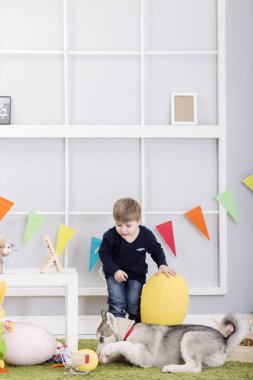 Paskalya gününde köpekle oynamayı erkek bebek