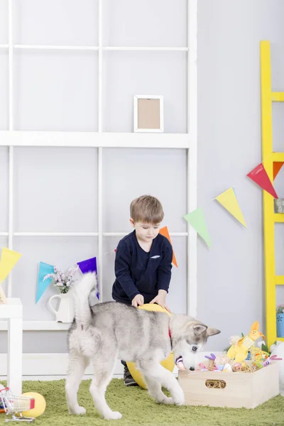 Bébé garçon jouant avec chien le jour de Pâques — Photo