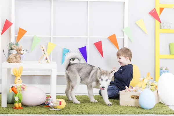 Baby boy playing with dog on Easter day — Stock Photo, Image