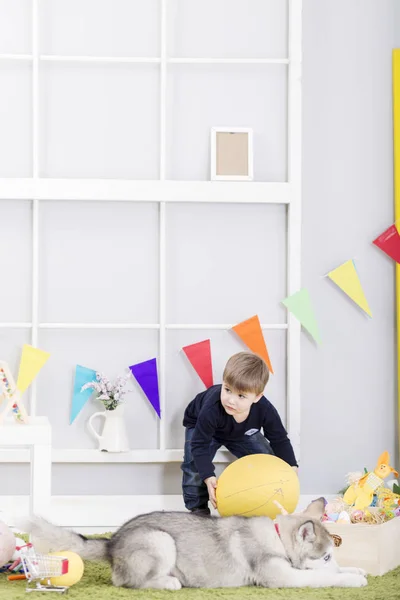 Menino brincando com o cão no dia de Páscoa — Fotografia de Stock