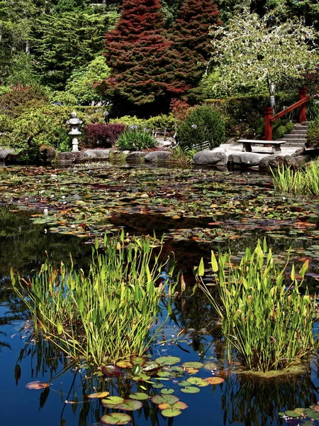 Japon bahçe at Shore dönüm Devlet Park