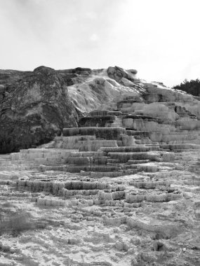 Bahar doku katmanlı