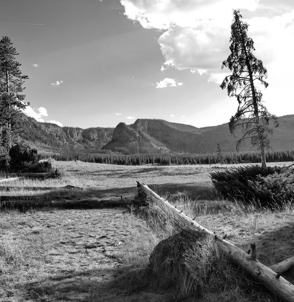 Fältet till berg till sky — Stockfoto