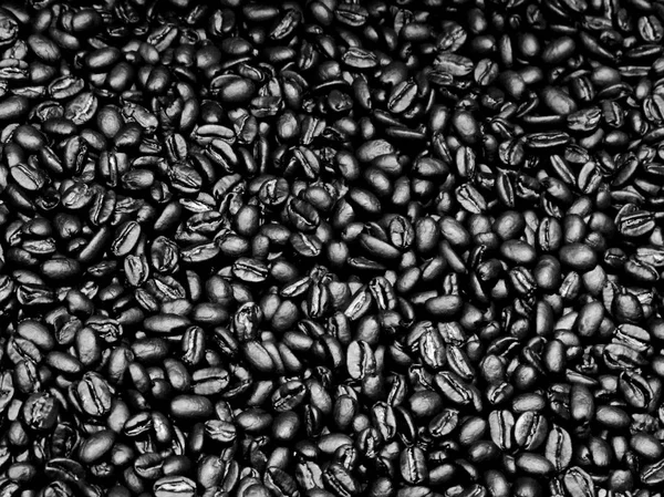Świeże palone ziarna kawy — Zdjęcie stockowe