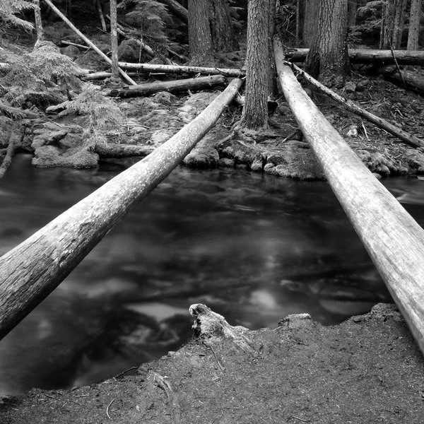 Tronchi attraverso Clearwater Creek — Foto Stock
