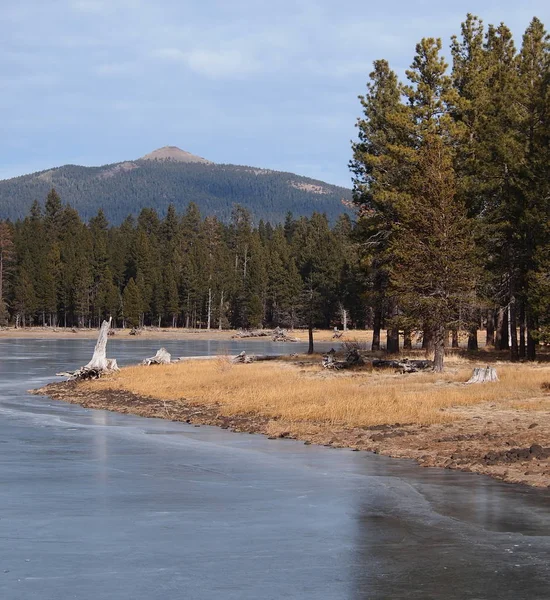 Oevers van bevroren Thompson Reservoir — Stockfoto