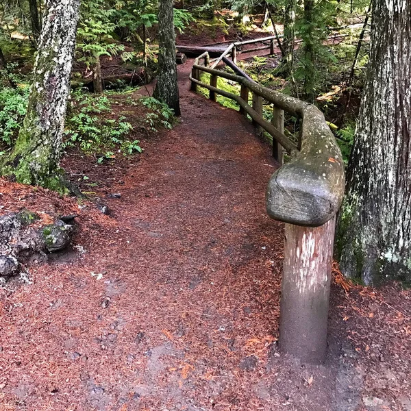Koosah Şelalesi Trail