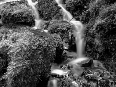 Proxy Falls yan suları