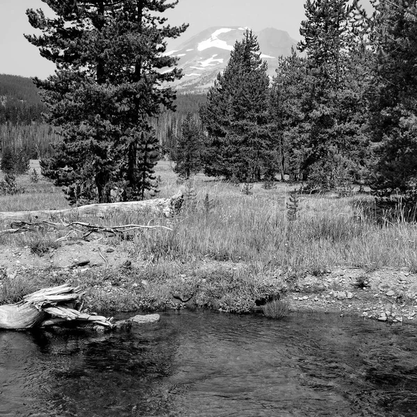 Todd Creek Güney Sister ile