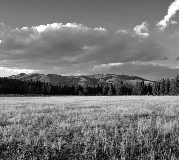 Zon naar beneden op veld en berg — Stockfoto
