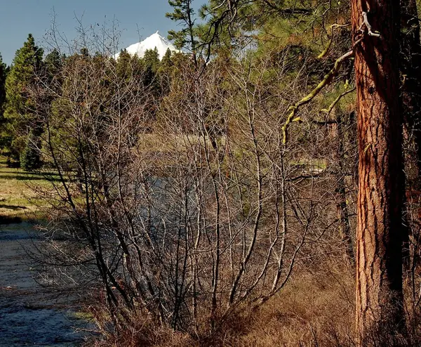 Bovenloop van de rivier de Metolius — Stockfoto