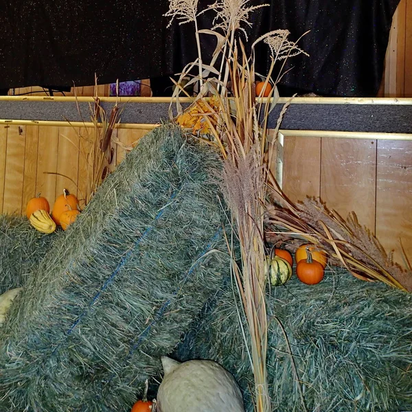 Harvest Festival stage decorations — Stock Photo, Image
