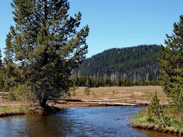 Todd Creek in primavera — Foto Stock