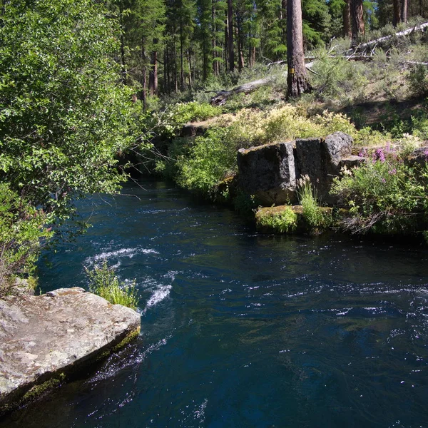 De heldere blauwe Metolius rivier — Stockfoto