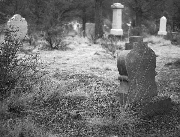 Friedhof im Wald — Stockfoto