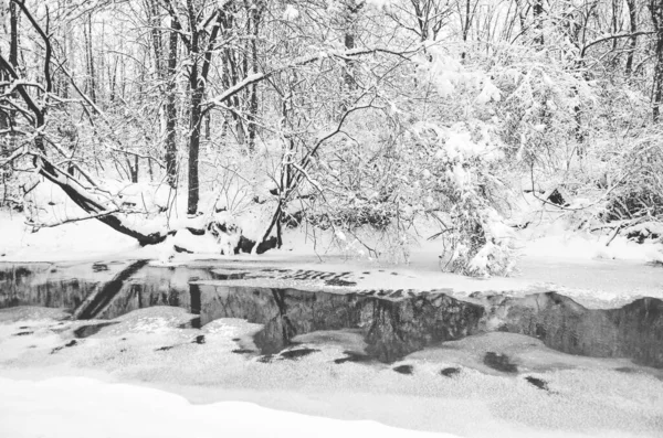 Una fresca nevicata invernale a Marott Park a Indianapolis, Indiana . — Foto Stock