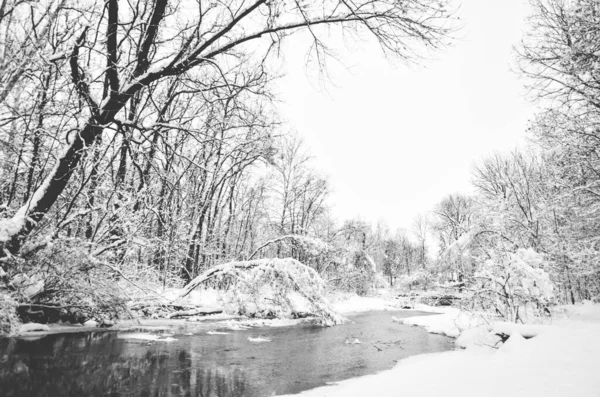 Una nevada fresca de invierno en Marott Park en Indianápolis, Indiana . —  Fotos de Stock