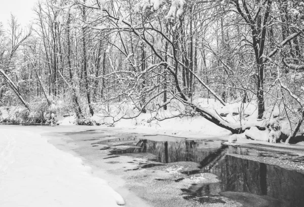 Una fresca nevicata invernale a Marott Park a Indianapolis, Indiana . — Foto Stock