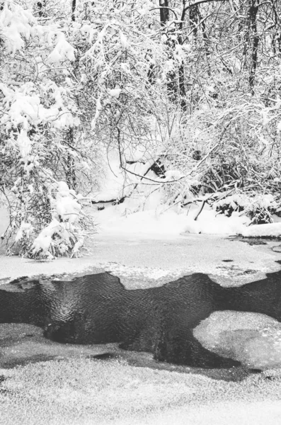 Ένα φρέσκο χιόνι χειμώνα στο Marott Park στην Ινδιανάπολη, Ιντιάνα — Φωτογραφία Αρχείου