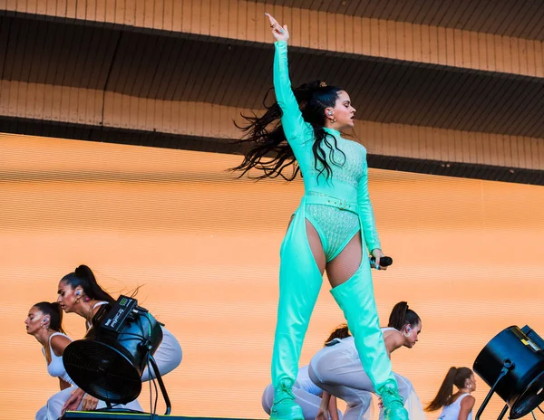 Chicago Illinois Spojené Státy Americké Neděle Srpna 2019 Španělská Flamenco — Stock fotografie