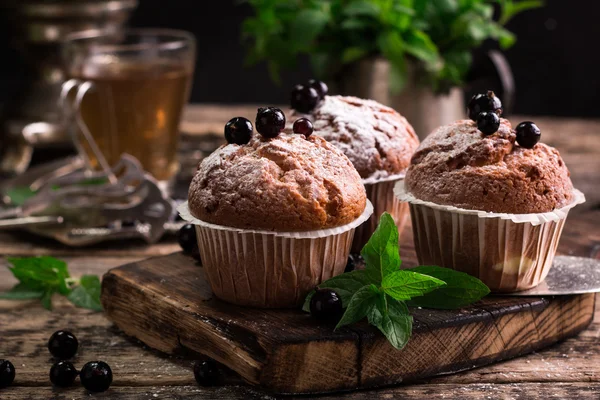 Muffin ai mirtilli con zucchero a velo e bacche fresche — Foto Stock