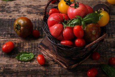 Renkli domates, kırmızı domates, sarı domates, portakal domates, yeşil domates. Domates arka plan. antika ahşap arka plan