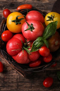 Renkli domates, kırmızı domates, sarı domates, portakal domates, yeşil domates. Domates arka plan. antika ahşap arka plan