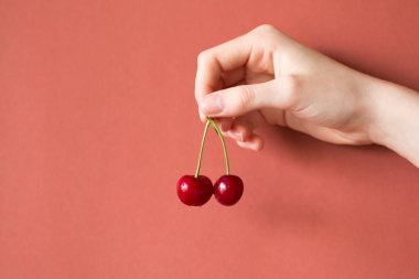 Kiraz kırmızı zemin üzerine, sağlıklı çiğ gıda kavramı tutan el