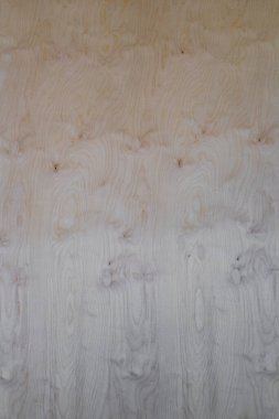 Kontrplak ürünlerin kalitesini ölçer.